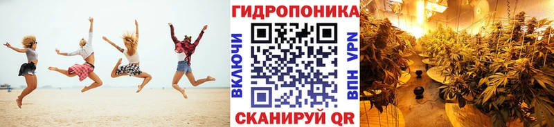 Конопля планчик  Верхотурье 